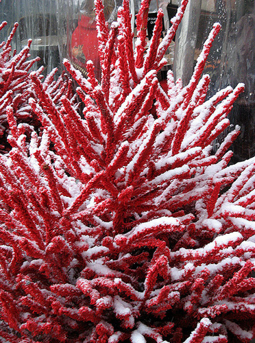 Новогодняя елка оригинального красного цвета