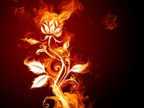 Огненный цветок