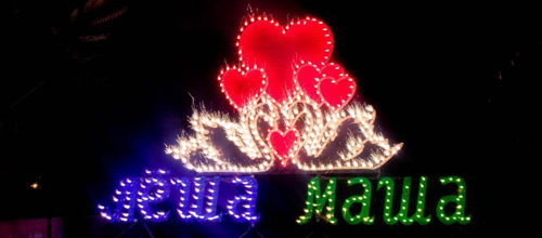 Свадебный наземный фейерверк