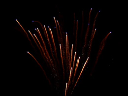 Парковые веера