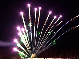 Парковые веера