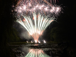 Парковые веера