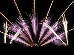 Парковые веера